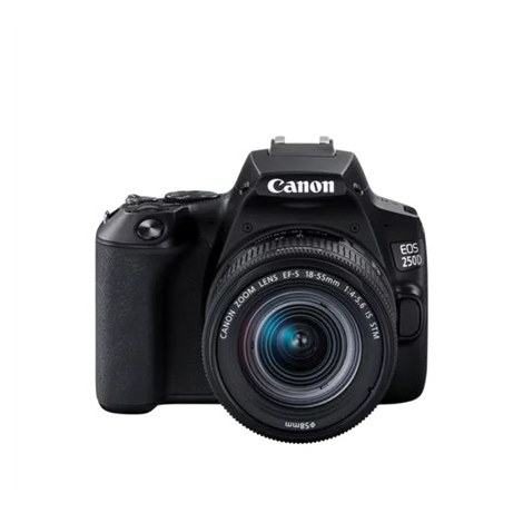Canon EOS | 250D | Obiektyw EF-S 18-55mm IS STM | Brązowy | Srebrny - 7